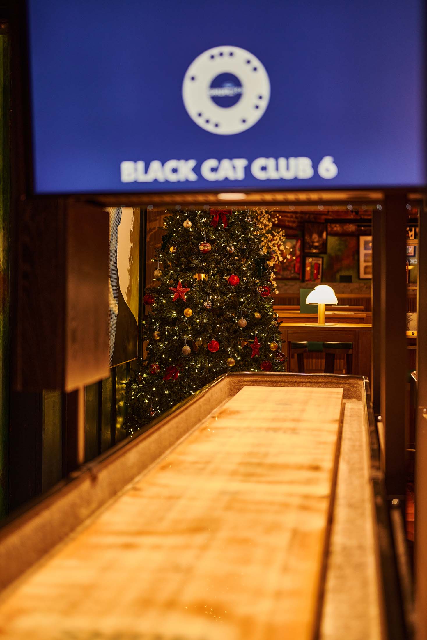 Black Cat Christmas